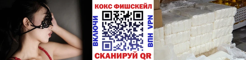 Cocaine Fish Scale  МЕГА как войти  Ногинск 