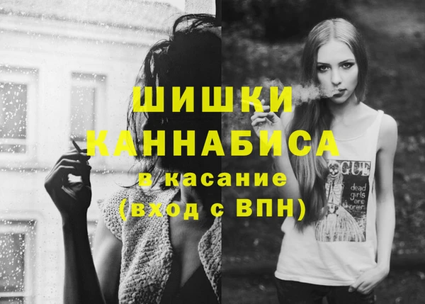 прущие грибы Володарск