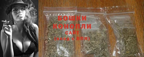 прущие грибы Володарск
