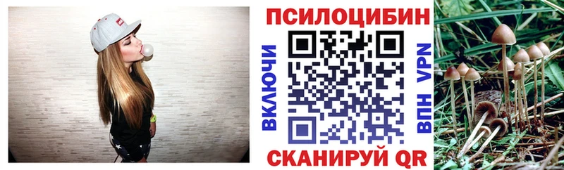 Псилоцибиновые грибы прущие грибы  Ногинск 